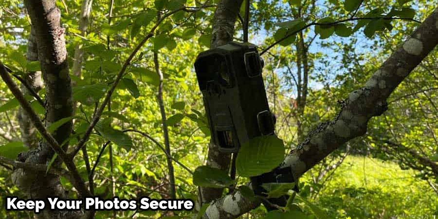 How to Hide Trail Camera from Humans